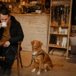Café chien Rennes : chien au dog-wash et toilettage