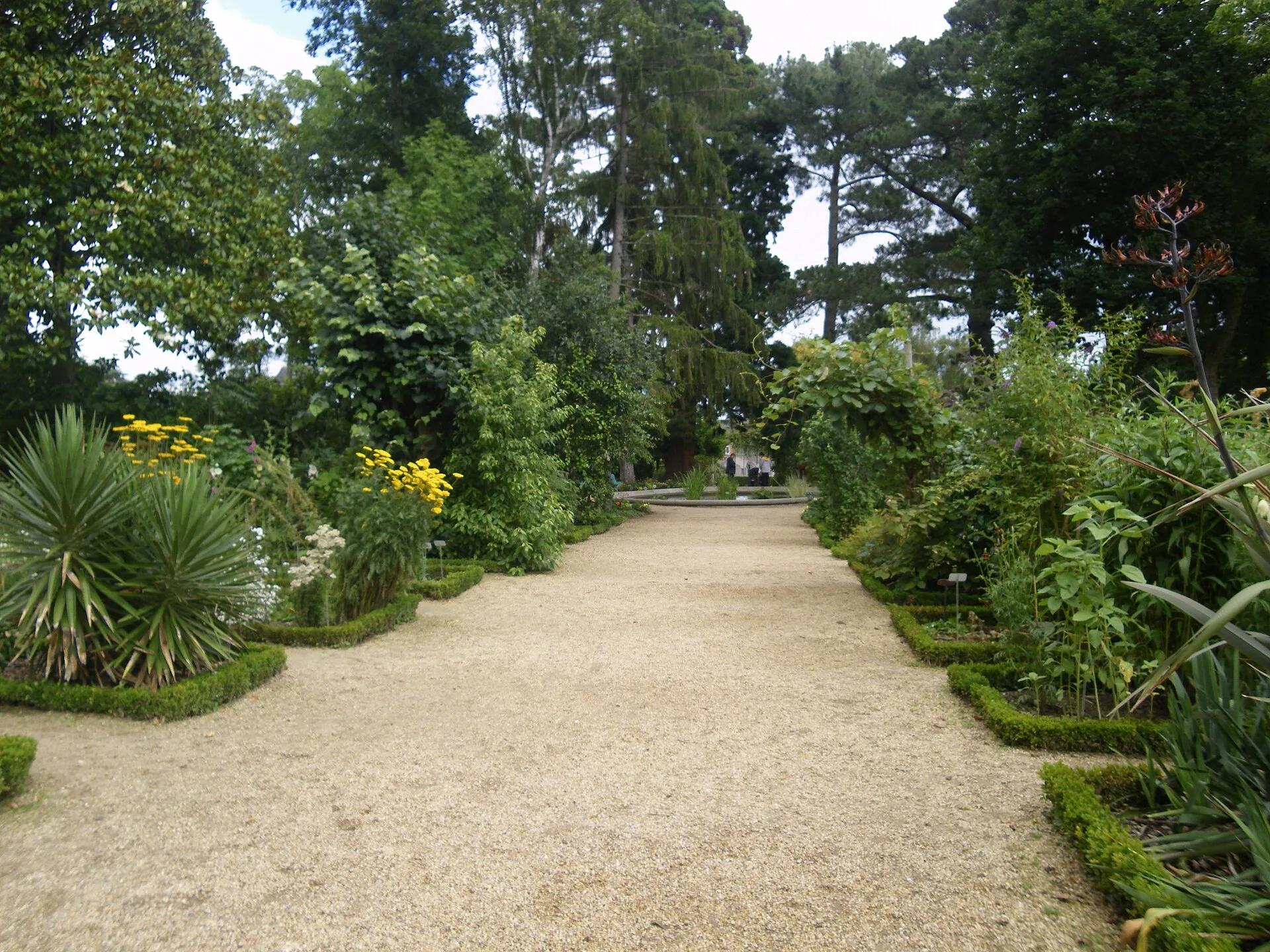 À proximité de 40mcube : une allée du jardin du Thabor à Rennes.
