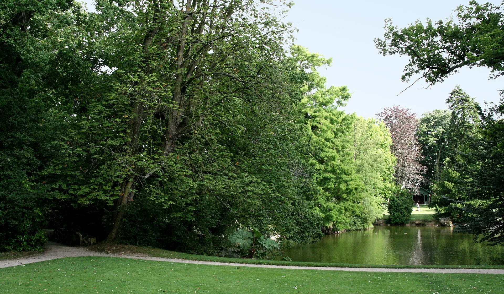 L'étang du Parc Oberthür, à Rennes. Photographie de 2008.