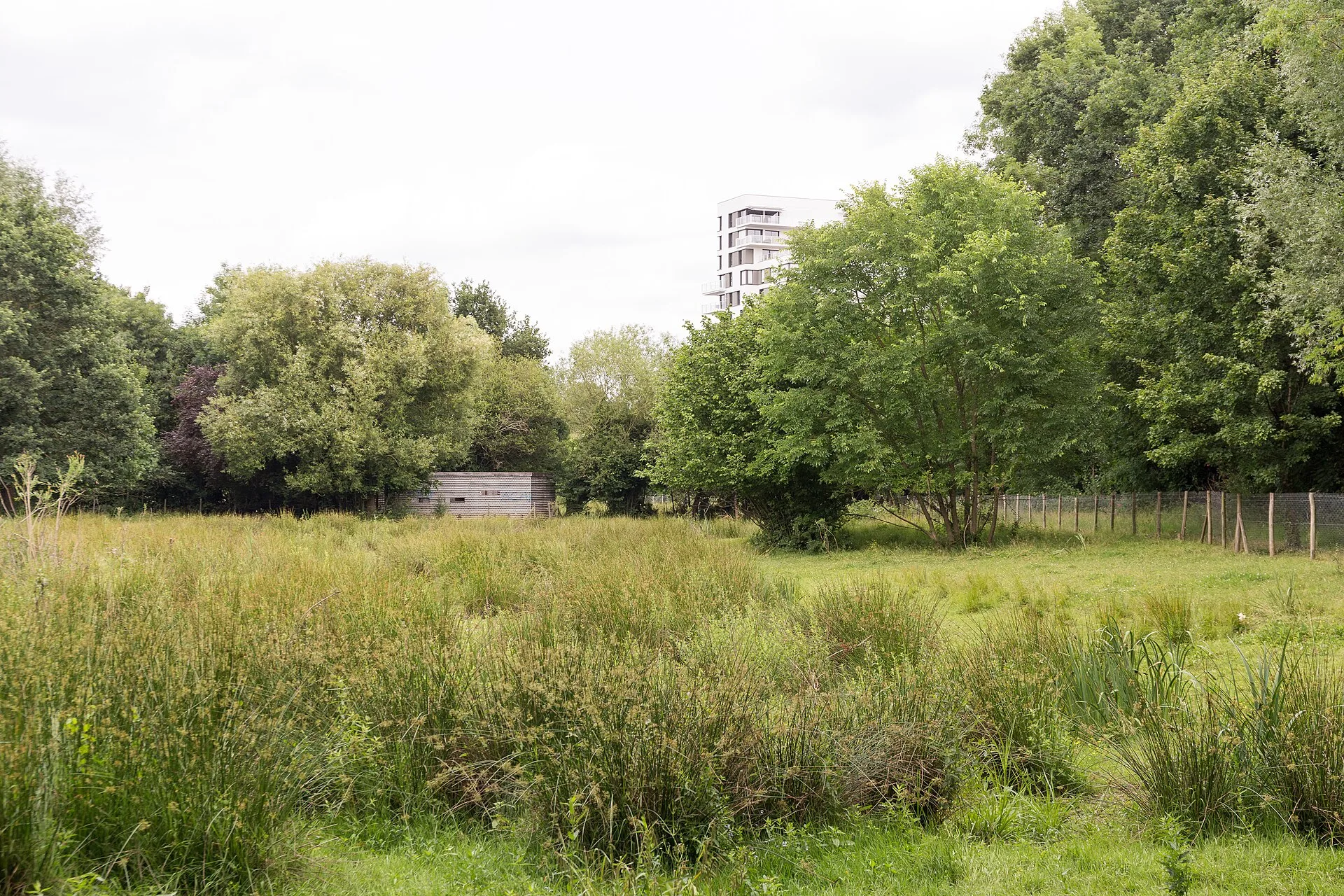 Les prairies Saint-Martin à Rennes. Photographie de 2025.
